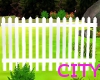 (C75) White Fence