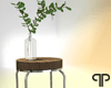 Stool with Plant