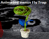 Animated Venus Fly Trap