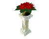 Poinsettia Pillar