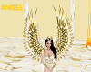 ANGEL Wings