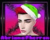 Christmas Green Hat