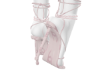 CC pink2