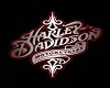 Harley-Davidson-Curtain'