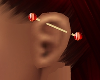 *TJ* Ear Piercing L G R