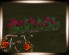 F: Flowers