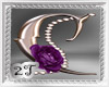 ~2T~ C Purple Rose