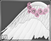 !B Angel Wings Animated