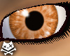 OrangeCream Flavor Eye M