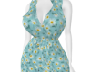 Dress Spring V1