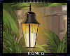 LIGHTS LAMPS