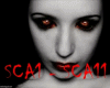 Z&acirc;�&ordm; Scarry Sound