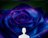 Blue purple bg