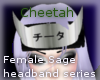 Cheetah Sage HB Kanji -k