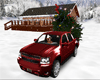 Red Truck/tree