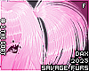 . Squeaky | Hair