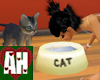 [AH] Cat Water Bowl