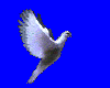 Animated white dove