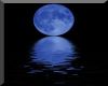 Blue Moon Picture Radio