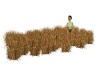 KJ's Rolling Wheat Field