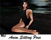 Anim Sitting Pose