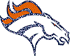 Broncos 2013