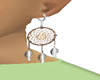 native earrings