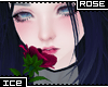 Ice * Red Rose