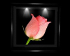 Pink Rose Frame