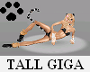 [Táll~ Prét~tý Gí~gá ¡¡~¡]