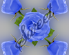 Roses Marker Blue