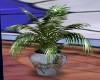 Carousel planter/plant
