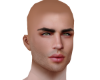 Owen Head