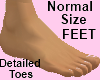 Normal Size Feet