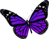 G❤ Purple  Butterfly