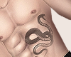 Ⓐ - Skin Corvo+tattoo
