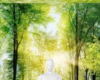 Matth ForestWalkAnim