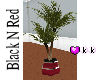 (KK) Potted Plant 2