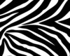 Zebra Print Changer