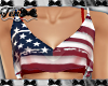 USA Flag Cropped Top