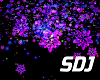 ✈  DJ-Sexy SDJ