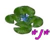 Blue Lilly Pad w/ poses