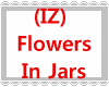 (IZ) Flowers In Jars