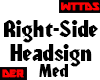 WTTDS Right HeadsignMesh
