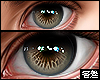 perfect eyes v11