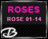 13~ROSES