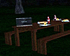 Dark Forest Picnic Table