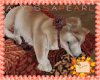 Autumn Sleeping Puppy