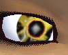 Chronic's Phoenix Eyes