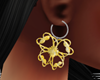 Dp Butterfly Earrings